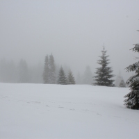 (66/77): Wycieczka na Turbacz 13.03.2016r.