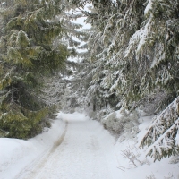 (73/77): Wycieczka na Turbacz 13.03.2016r.