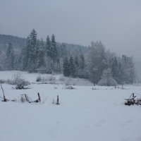 (6/140): Zimowa dwudniówka 13-14.02.2016r.
