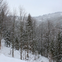 (15/140): Zimowa dwudniwka 13-14.02.2016r.