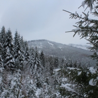 (17/140): Zimowa dwudniwka 13-14.02.2016r.