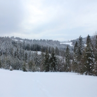 (18/140): Zimowa dwudniwka 13-14.02.2016r.