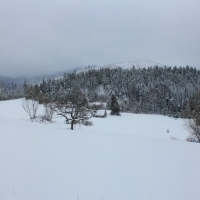 (19/140): Zimowa dwudniwka 13-14.02.2016r.