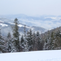 (22/140): Zimowa dwudniwka 13-14.02.2016r.