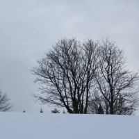 (30/140): Zimowa dwudniwka 13-14.02.2016r.