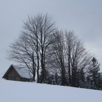 (32/140): Zimowa dwudniwka 13-14.02.2016r.