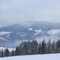 (33/140): Zimowa dwudniwka 13-14.02.2016r.