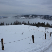 (35/140): Zimowa dwudniwka 13-14.02.2016r.
