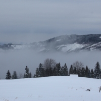 (36/140): Zimowa dwudniwka 13-14.02.2016r.