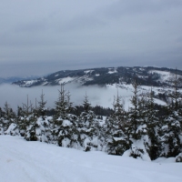 (38/140): Zimowa dwudniwka 13-14.02.2016r.