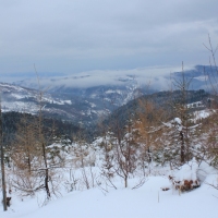 (40/140): Zimowa dwudniwka 13-14.02.2016r.