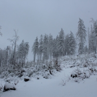 (46/140): Zimowa dwudniwka 13-14.02.2016r.