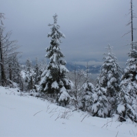 (48/140): Zimowa dwudniwka 13-14.02.2016r.