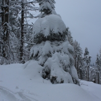 (51/140): Zimowa dwudniwka 13-14.02.2016r.