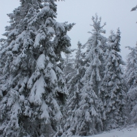 (53/140): Zimowa dwudniwka 13-14.02.2016r.