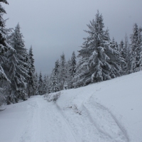 (54/140): Zimowa dwudniwka 13-14.02.2016r.