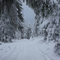 (55/140): Zimowa dwudniwka 13-14.02.2016r.