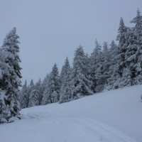 (58/140): Zimowa dwudniwka 13-14.02.2016r.