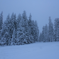 (69/140): Zimowa dwudniwka 13-14.02.2016r.