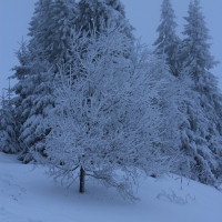 (70/140): Zimowa dwudniwka 13-14.02.2016r.