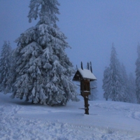 (74/140): Zimowa dwudniwka 13-14.02.2016r.