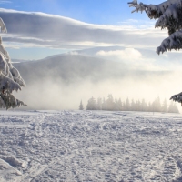 (88/140): Zimowa dwudniwka 13-14.02.2016r.
