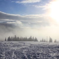 (91/140): Zimowa dwudniwka 13-14.02.2016r.