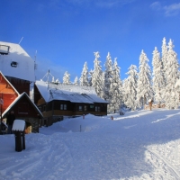 (92/140): Zimowa dwudniwka 13-14.02.2016r.