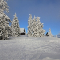 (93/140): Zimowa dwudniwka 13-14.02.2016r.