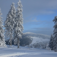 (94/140): Zimowa dwudniwka 13-14.02.2016r.