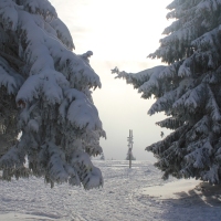 (96/140): Zimowa dwudniwka 13-14.02.2016r.
