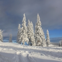 (97/140): Zimowa dwudniwka 13-14.02.2016r.