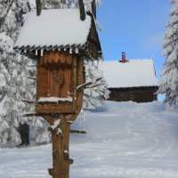 (98/140): Zimowa dwudniwka 13-14.02.2016r.