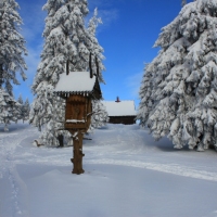 (99/140): Zimowa dwudniwka 13-14.02.2016r.
