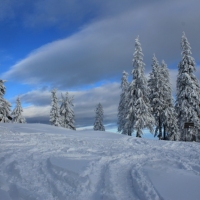 (100/140): Zimowa dwudniwka 13-14.02.2016r.