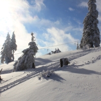 (106/140): Zimowa dwudniwka 13-14.02.2016r.