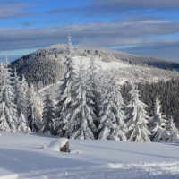 (107/140): Zimowa dwudniwka 13-14.02.2016r.
