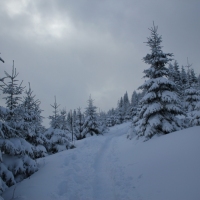 (111/140): Zimowa dwudniwka 13-14.02.2016r.