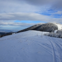 (114/140): Zimowa dwudniwka 13-14.02.2016r.