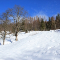 (124/140): Zimowa dwudniwka 13-14.02.2016r.