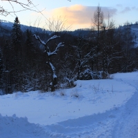 (7/126): Wycieczka Beskid Śląski 17.01.2016r.