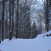 (9/126): Wycieczka Beskid lski 17.01.2016r.