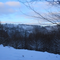 (12/126): Wycieczka Beskid Śląski 17.01.2016r.