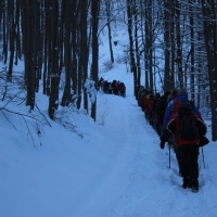 (16/126): Wycieczka Beskid lski 17.01.2016r.