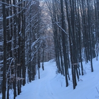 (17/126): Wycieczka Beskid lski 17.01.2016r.