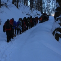 (20/126): Wycieczka Beskid lski 17.01.2016r.