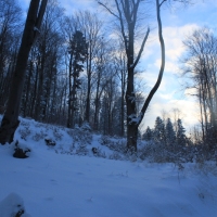 (21/126): Wycieczka Beskid lski 17.01.2016r.