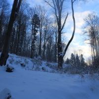 (21/126): Wycieczka Beskid lski 17.01.2016r.