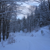 (23/126): Wycieczka Beskid lski 17.01.2016r.