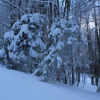 (24/126): Wycieczka Beskid lski 17.01.2016r.